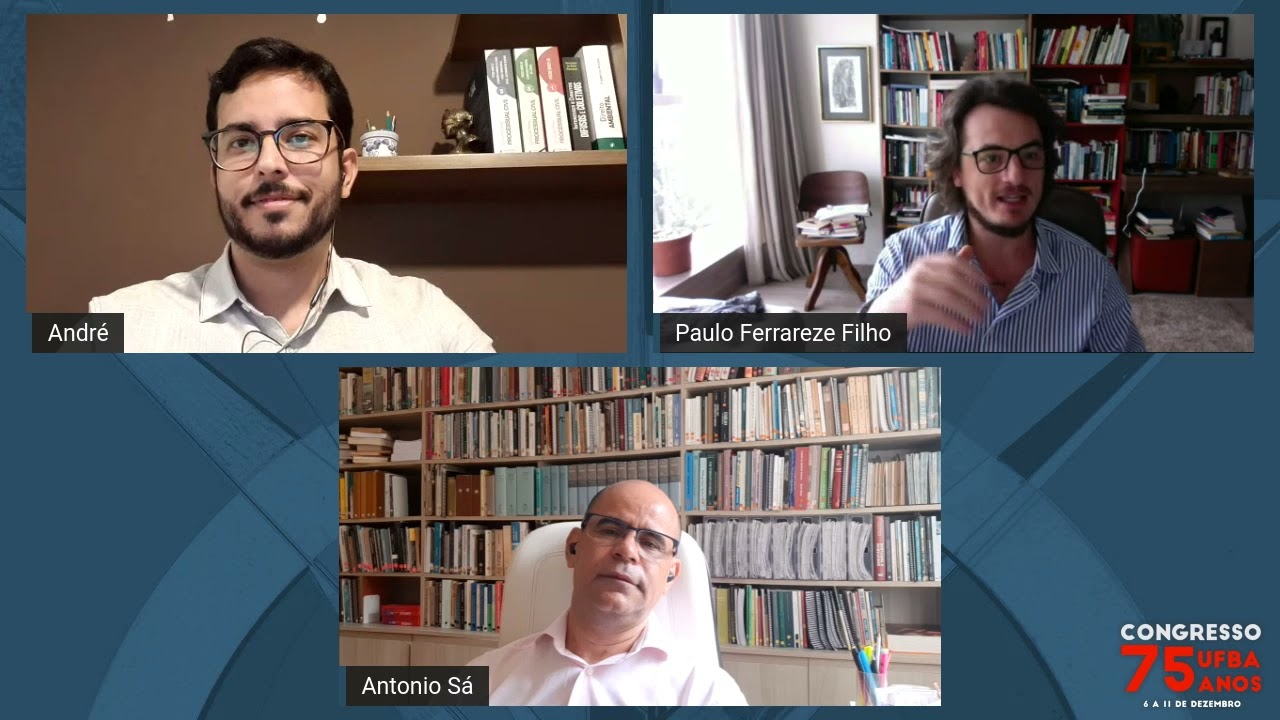 Teoria Da Decis&atilde;o Judicial: Subjetividade, Justi&ccedil;a Po&eacute;tica E Ret&oacute;ricas