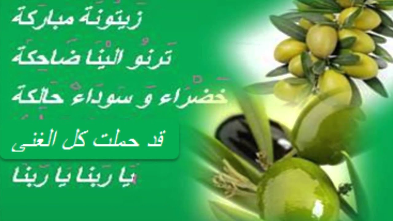 الزيتونة نشيد من الذاكرة...