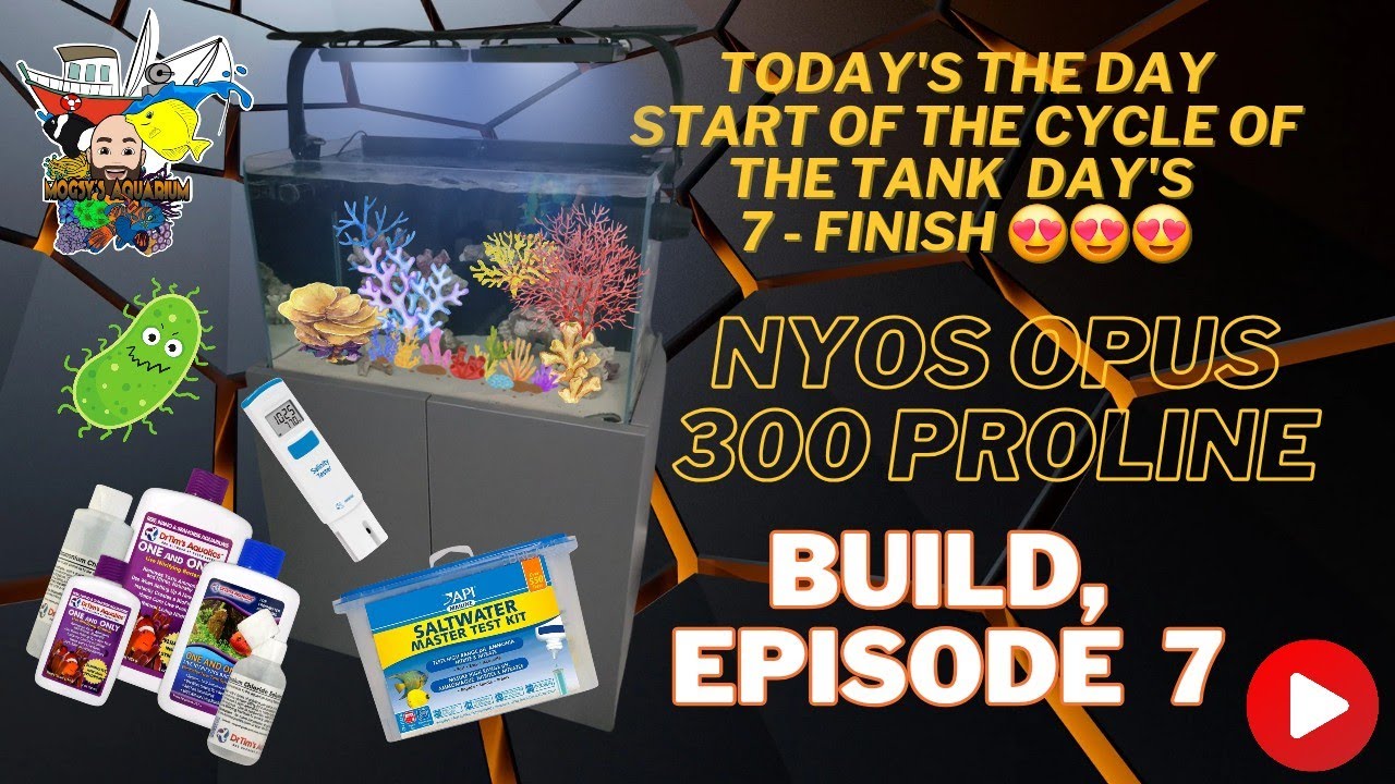 Can a tank cycle in 14 days using Dr. Tim's Method?