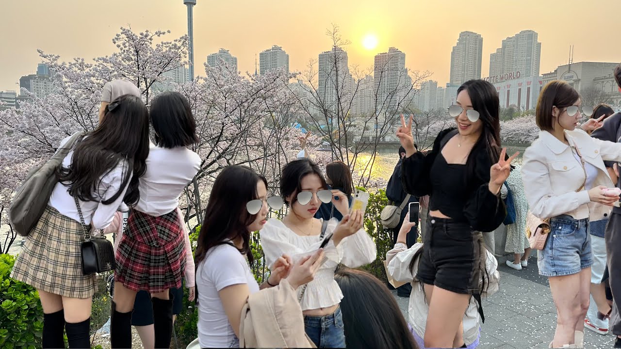 [SEOUL WALK] 잠실 석촌 호수🌸 벚꽃 체리 블라썸_4K HDR