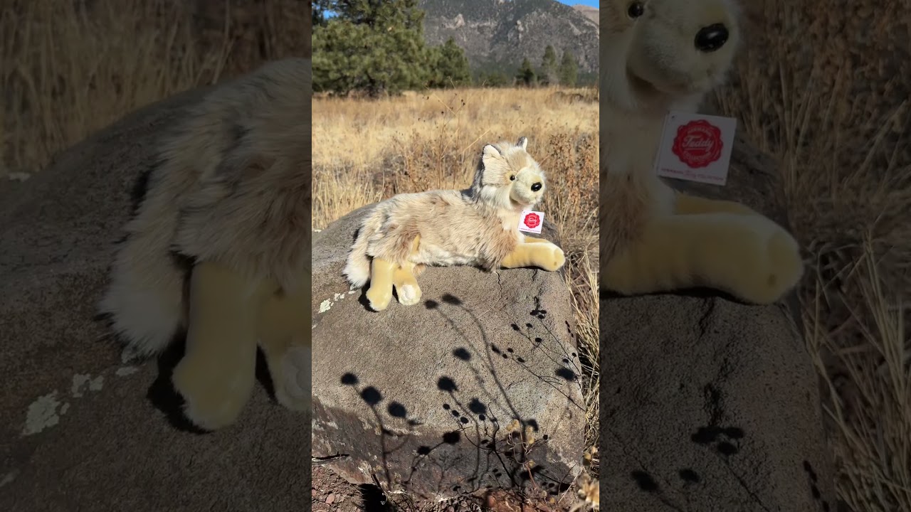 Teddy Hermann Wolf
