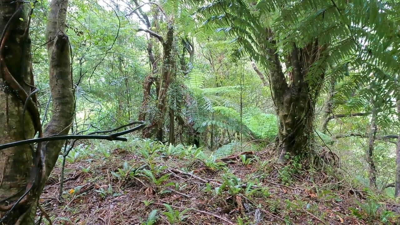 Waiohine Gorge: Sites of Interest