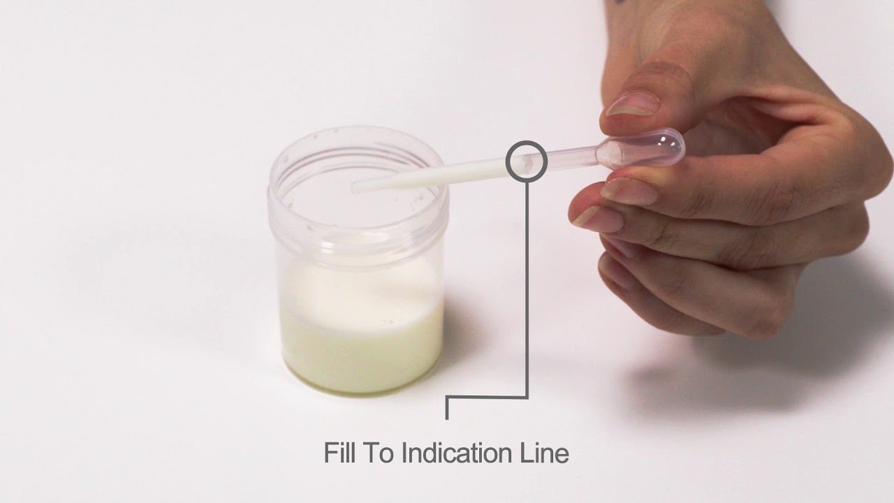 IDEXX SNAP BL ST Antibiotic Residue Test - How to use