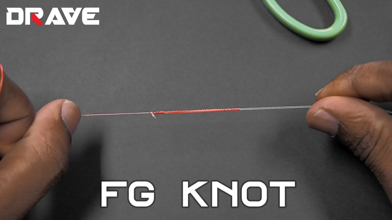 DRAVE SKOOL - SHORTCUT FG KNOT