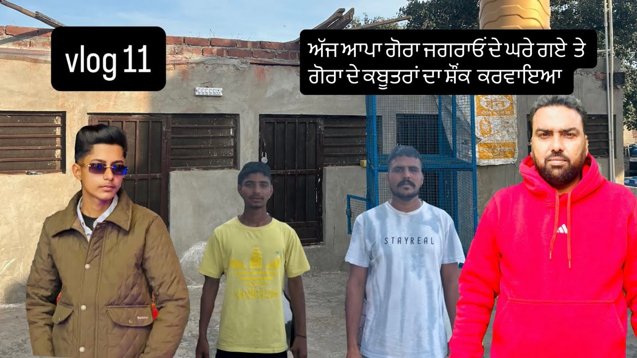 Vlog 11 te ਅੱਜ ਆਪਾ ਗੋਰਾ ਜਗਰਾਓਂ ਦੇ ਘਰੇ ਗਏ ਤੇ ਗੋਰਾ ਦੇ ਕਬੂਤਰਾਂ ਦਾ ਸ਼ੌਂਕ ਕਰਵਾਇਆ 