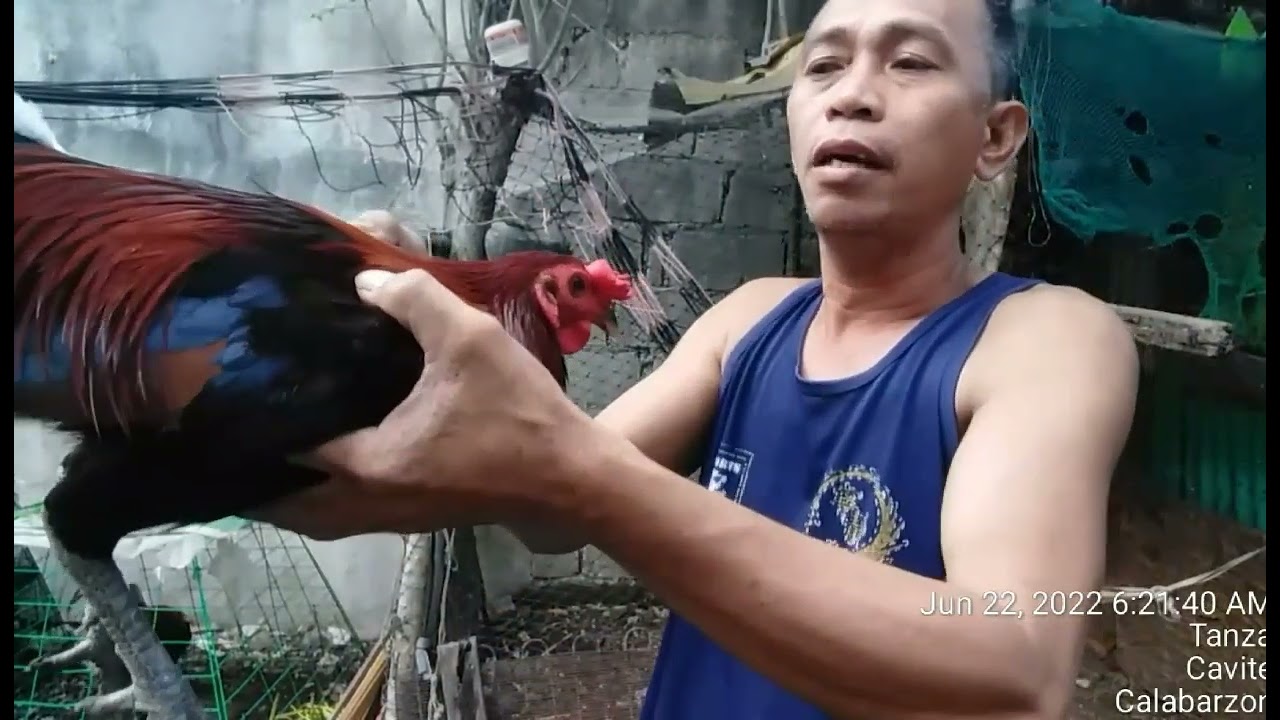 DISKARTI SA ULUTAN PARA MAKALAMANG.AT HINDI NATIN GAWIN.