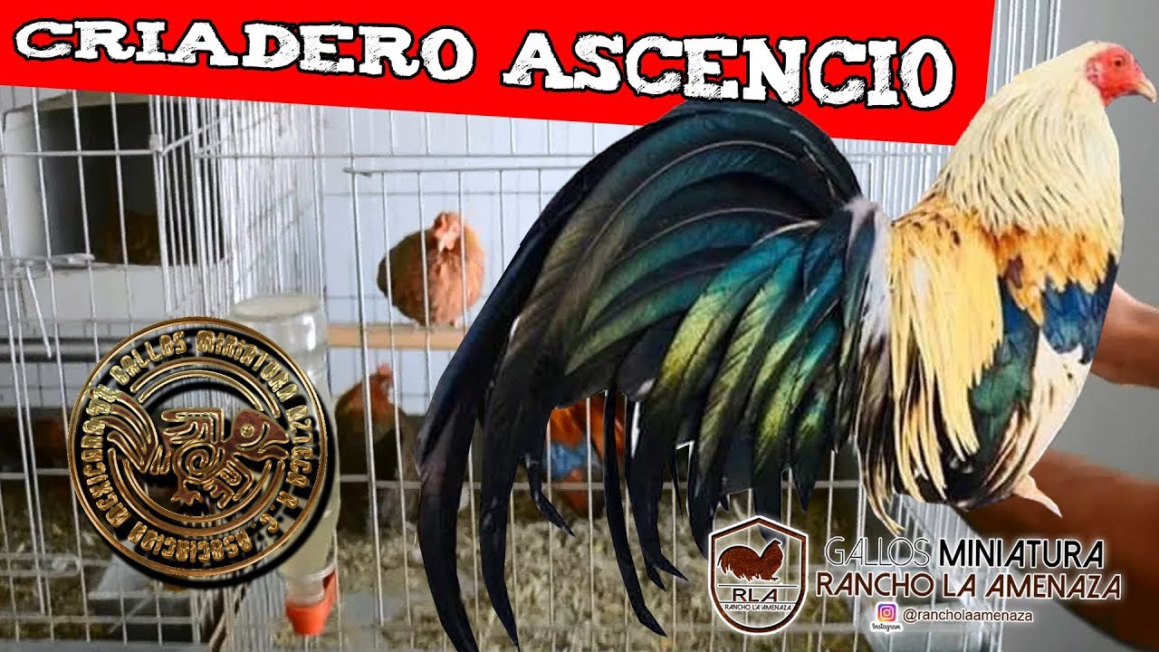 Visita al Criadero Ascencio