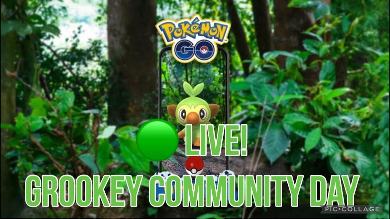 LIVE - 💚✨Grookey Community Day! SHUNDO Grookey Hunting!