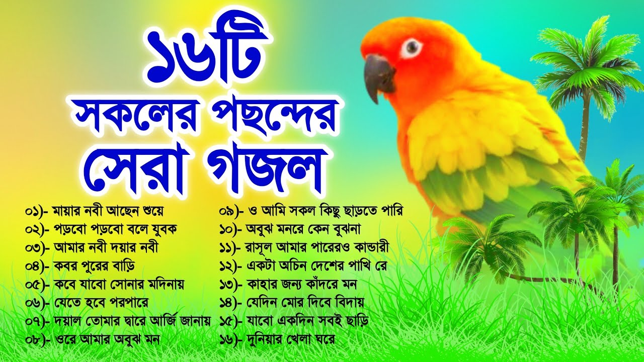 Bangla Gojol 2024 || ১৬টি সকলের পছন্দের সেরা গজল || Top & Best 16 Gojol || বাংলা গজল || New Gojol