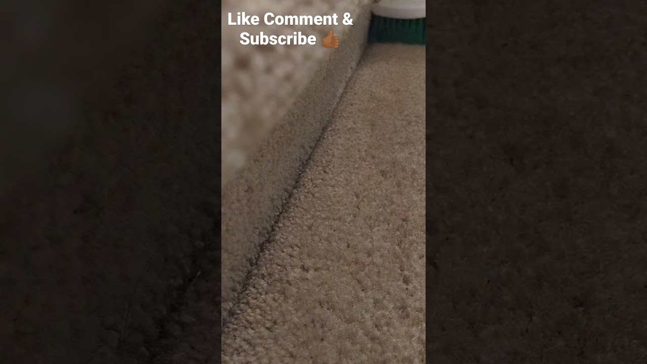 ASMR TERRIBLE DIRTY CARPET CLEANING SWEEPING SCRUBBING WITH FOAM
