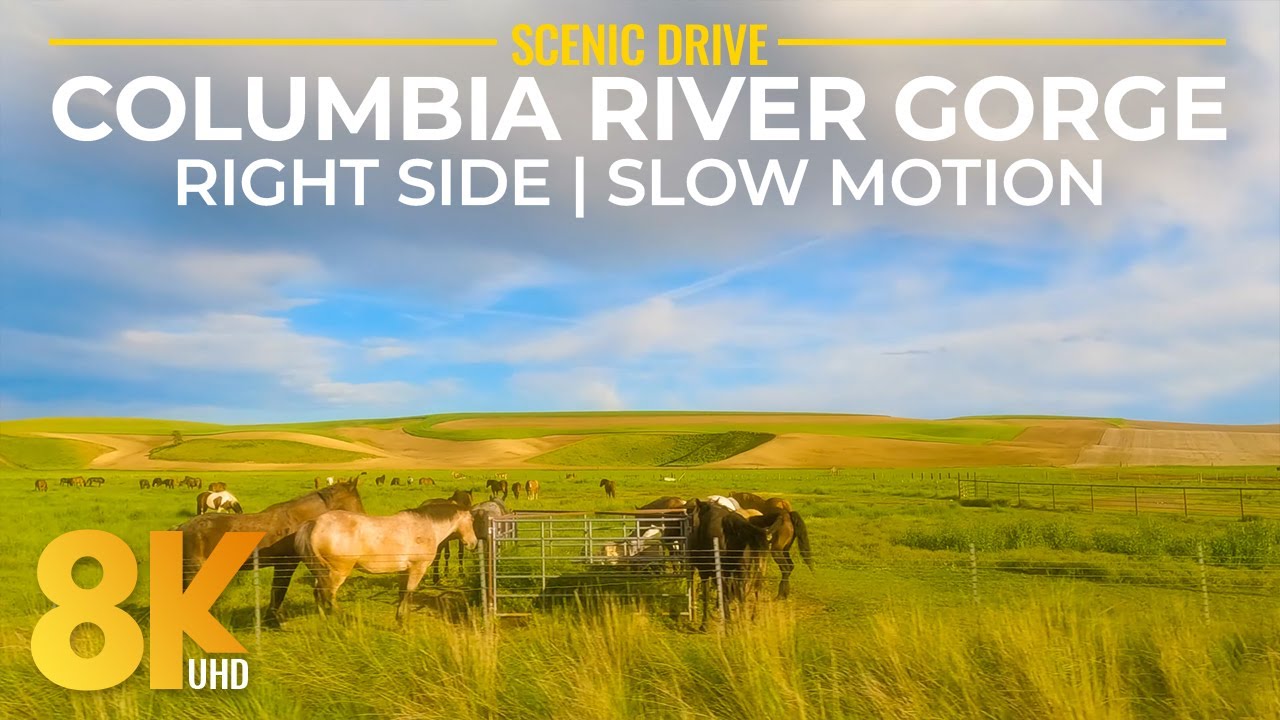 Exploring Columbia River Gorge & Palouse Area - 8K Scenic Drive (Right Side View in Slow Motion)