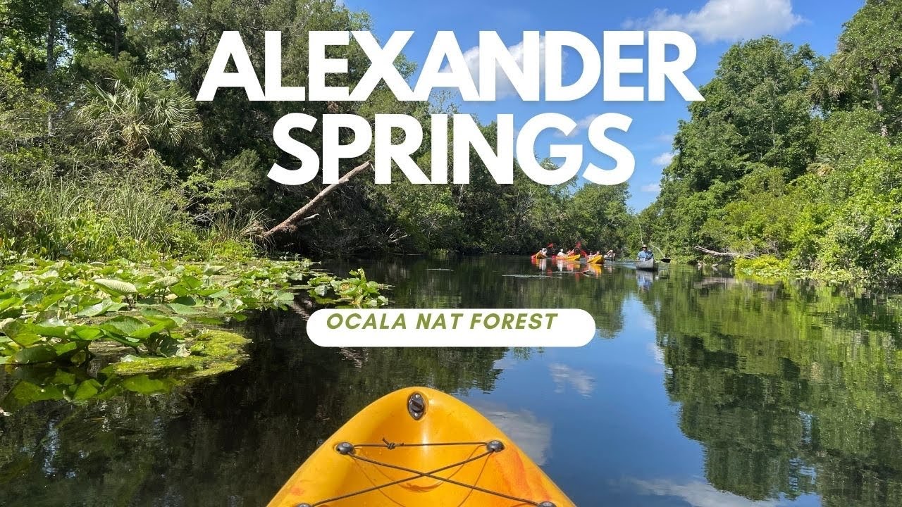 Alexander Springs: Brilliantly calm kayak and camping adventure. Eco friendly nature trip. 