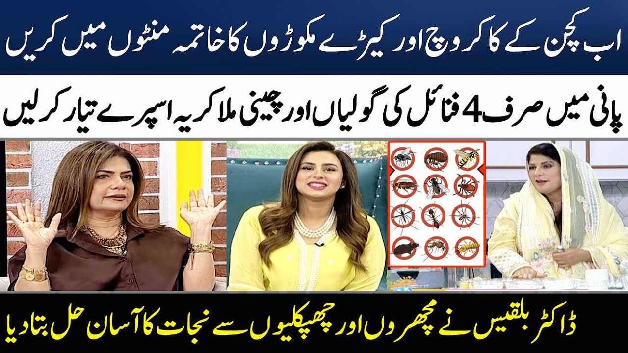 Ghar Se Cockroach or Chupkili Bhagany Ka Asan Tarika | Dr Bilquis | Madeha Naqvi | SAMAA TV