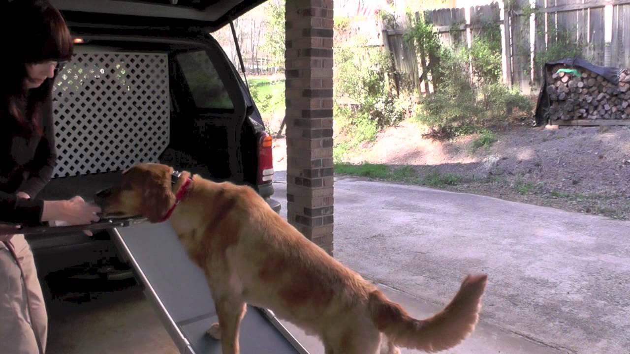 Training Your Dog To Use a Solvit Ramp