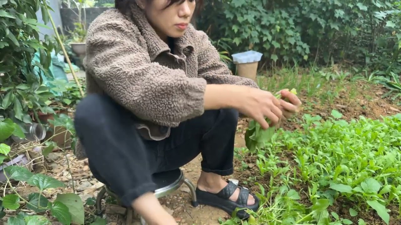 Chia Tay Với Những Thước Phim Về Cầu,Về Nhà Vợ Bắt Cuốc Đất Trồng Rau Nuôi Gà Các Bác Ạ