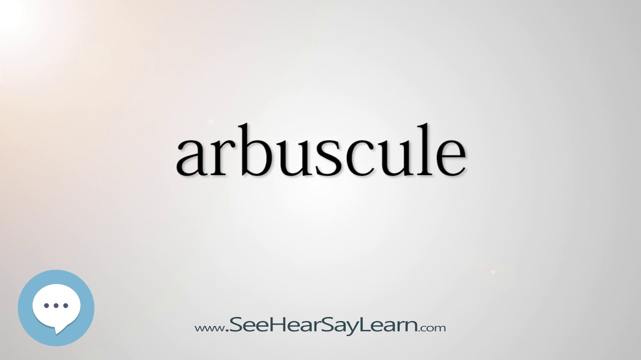 arbuscule (Every English Word Pronounced) 📕🔊🗣️😎✅