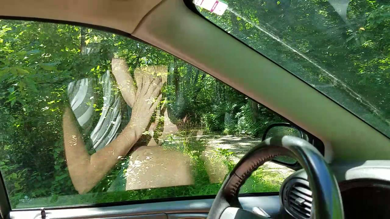 Starved Rock State Park Campground (East Wooded drive through)