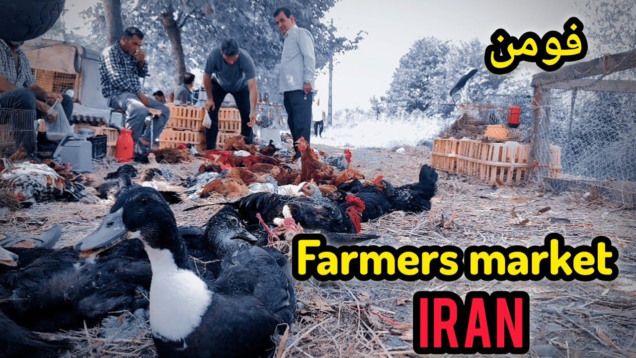 farmers market in fouman city, Iran.Fruit and vegetable market.سه شنبه بازار فومن