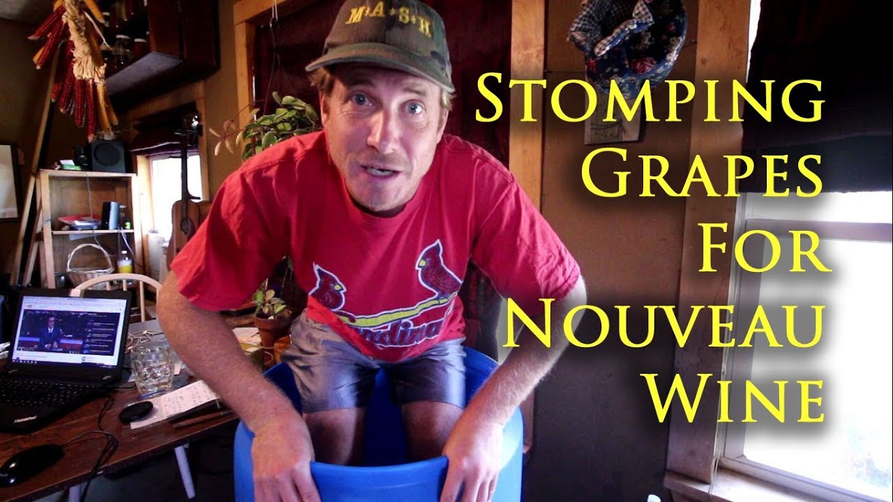 Stomping Grapes for Organic Nouveau Wine Part 2