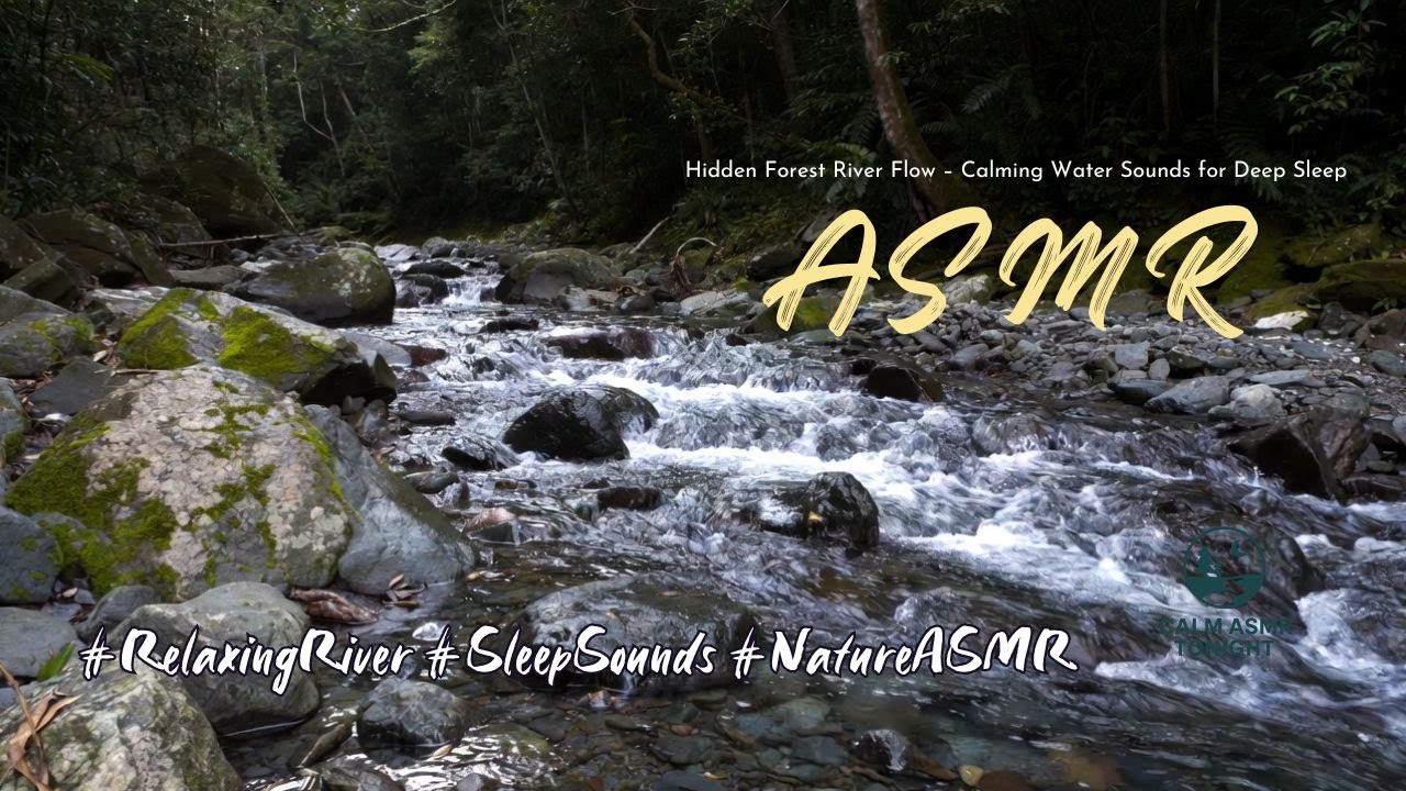 Let the mountain river wash your worries away| For relaxing , studying and deep sleep 🌊✨