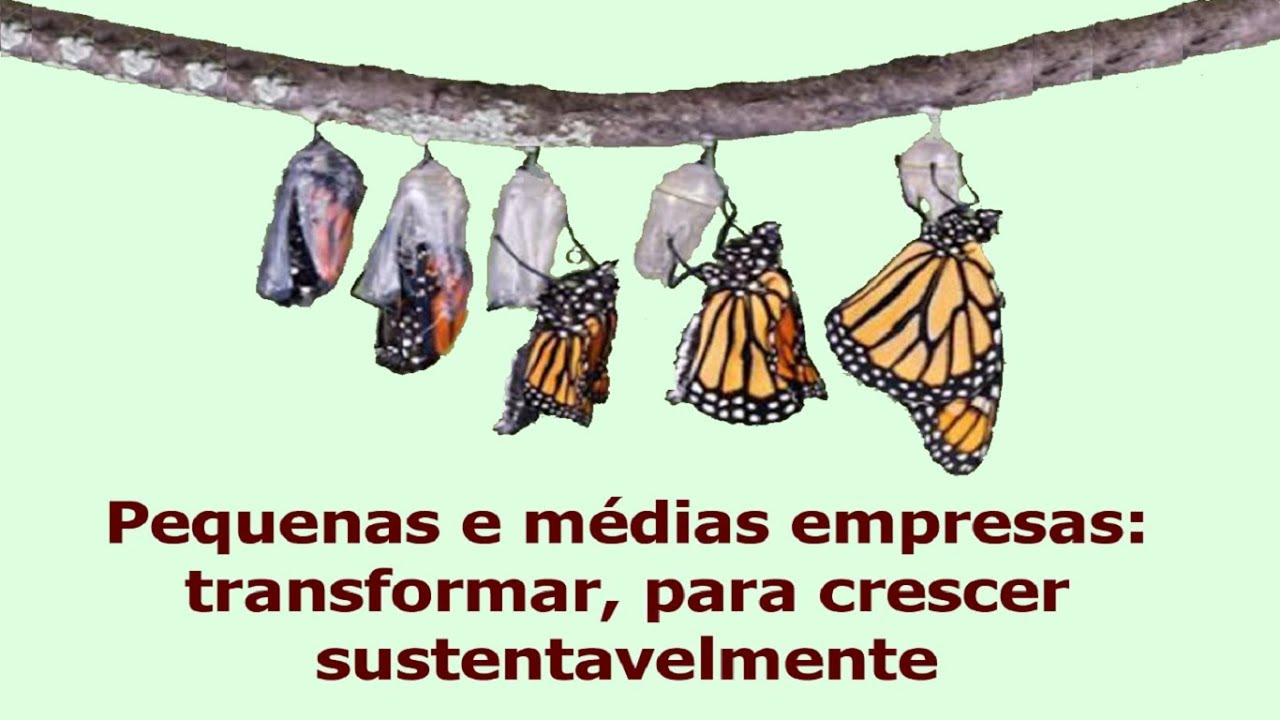 Pequenas e médias empresas: transformar-se, para crescer sustentavelmente