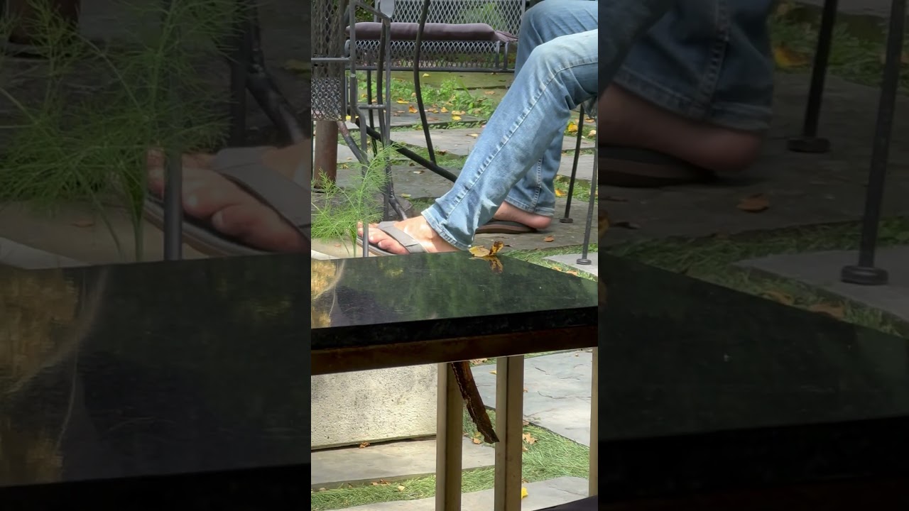 Random  man feet 🦶😍 