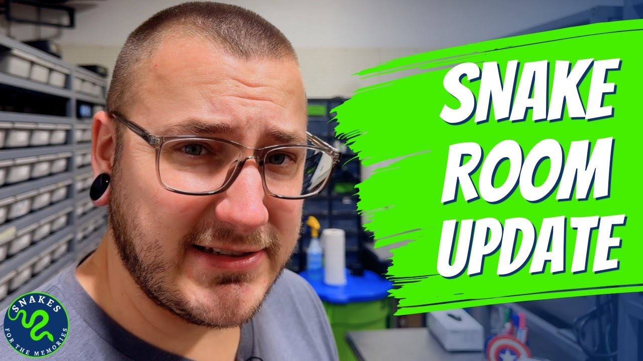 Massive Expansion! 🐍 New Snake Room Setup Tour | Snakes for the Memories