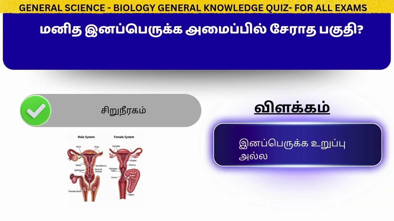 RRB General Science Biology MCQ | Vitamins & Human Body | RRB NTPC | Group D | Tamil #rrb #ntpc_exam