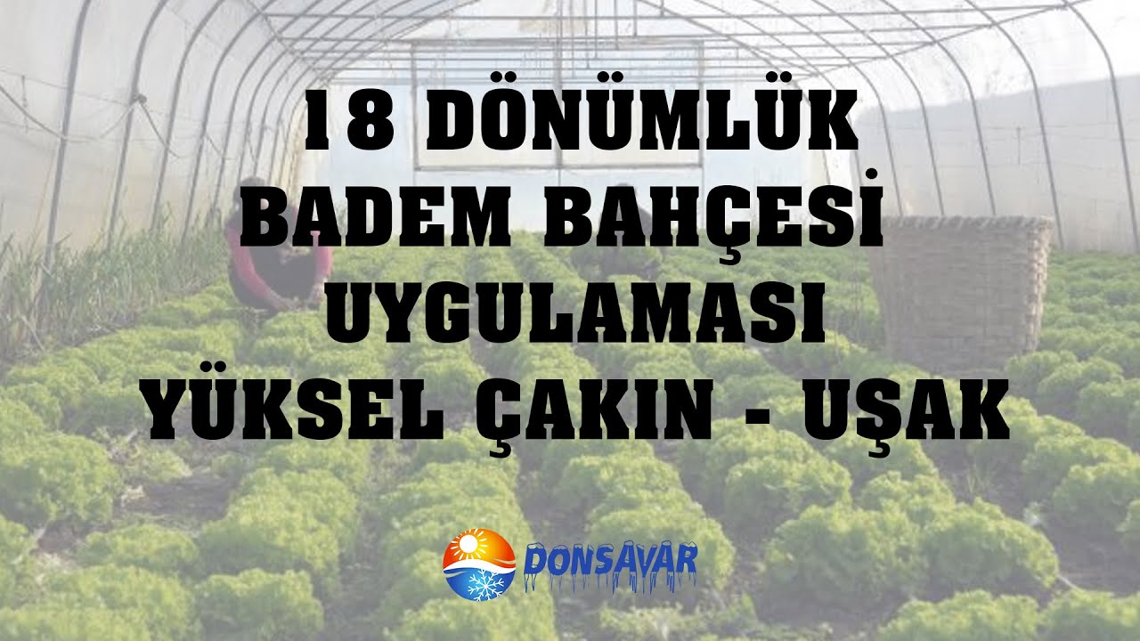 UŞAK'TA YÜKSEL ÇAKIN'IN 18 DÖNÜMLÜK BADEM BAHÇESİNDE UYGULAMA
