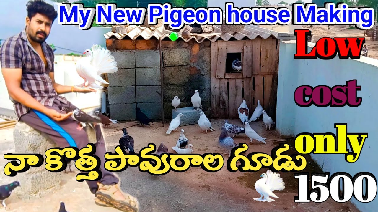 How To Make A Pigeon House At Home In Telugu || Easy Way To Make Pigeon House  Low Cost