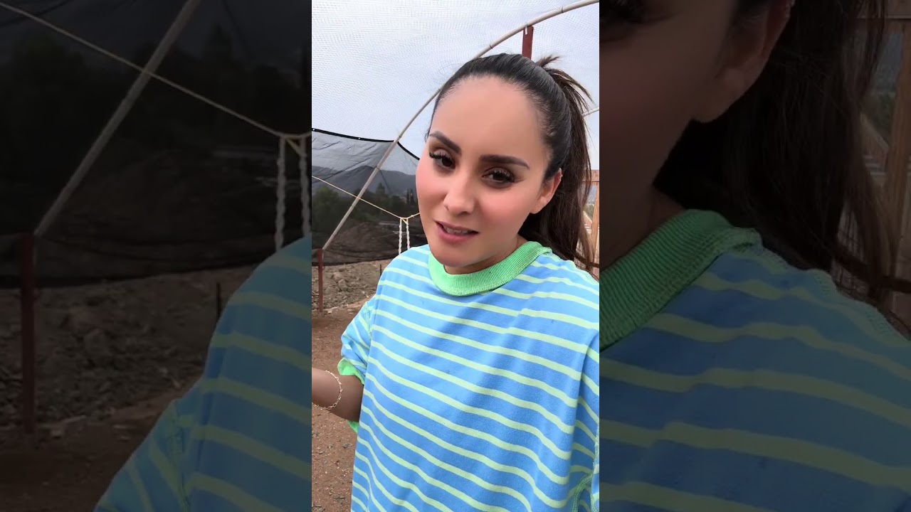 Se nos fue el capataz 