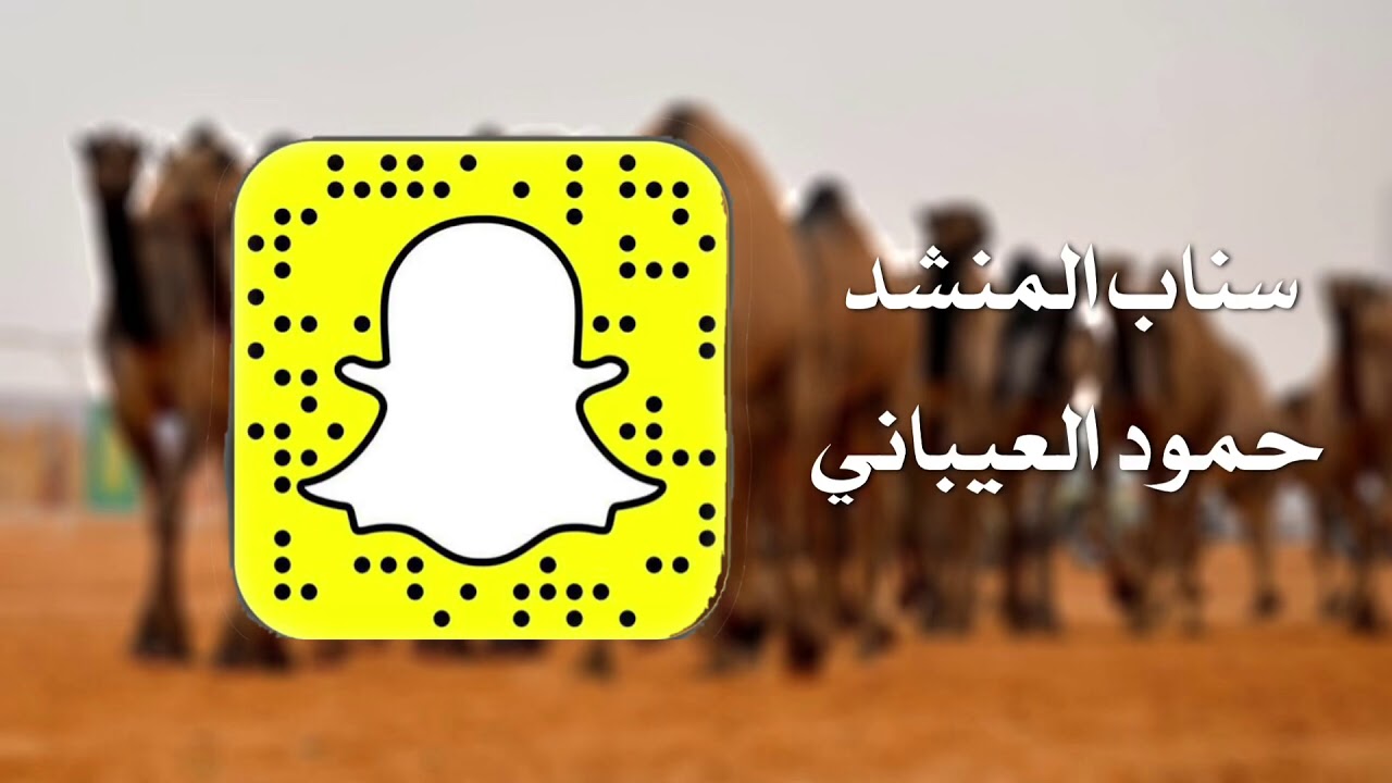 شيلة : بنات عبدان معنا ورث الاجدادي || كلمات : سعد سلطان الرخيمي || اداء حمود العيباني