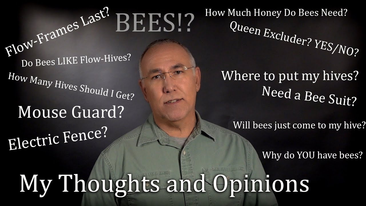 Honey Bee Keeping and Flow Hive Frequently Asked Questions Answered FAQ Bees #ONE
