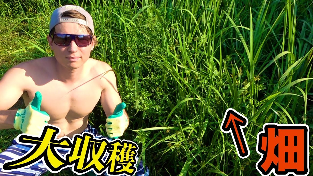 3ヶ月放置した草ボーボー畑で大収穫!! 【別荘】　PDS