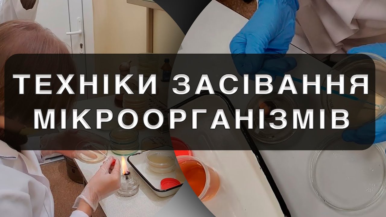Техніки засівання мікроорганізмів на поживні середовища