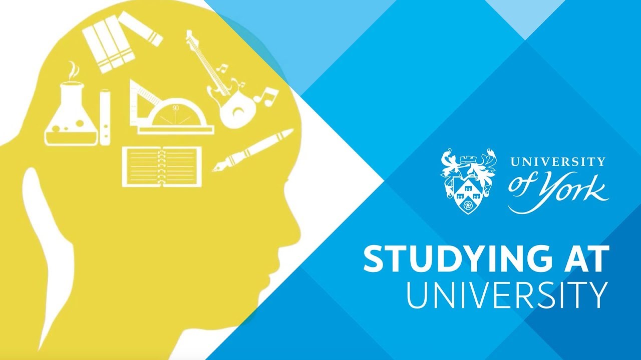 What will it be like to study at a university?