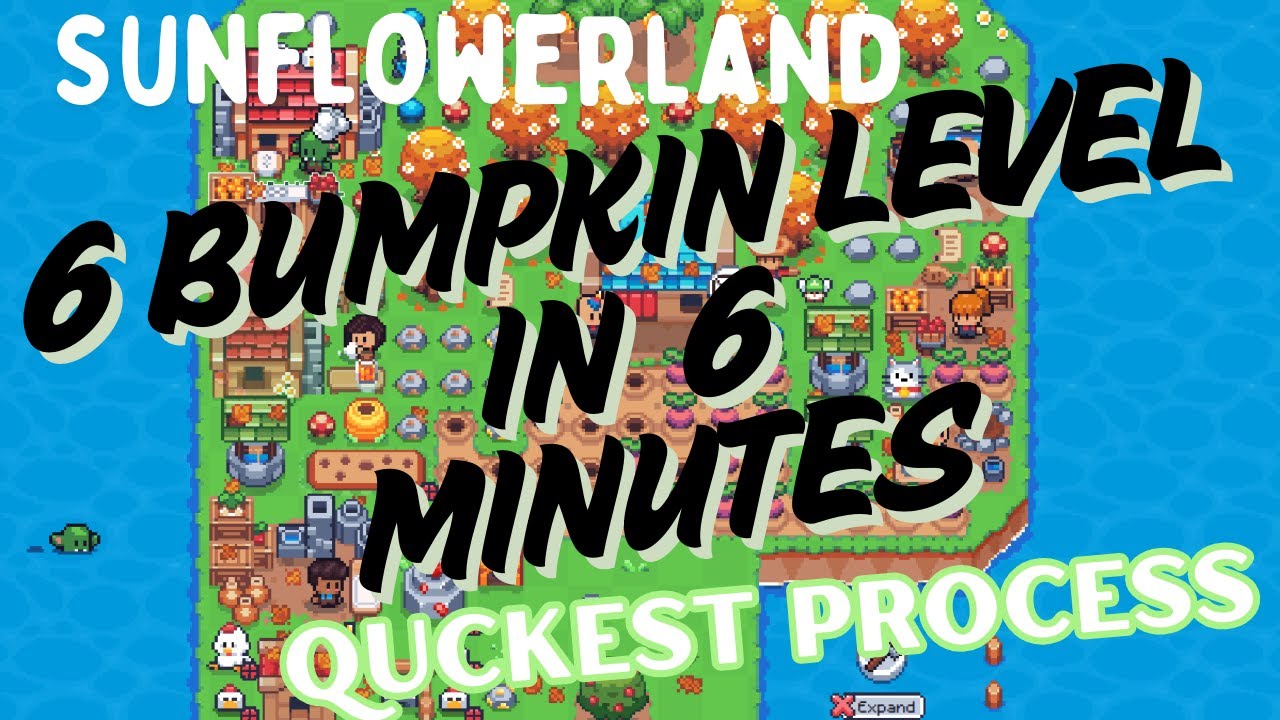 6 bumpkin level in 6 minutes || Quickest process to level up your bumpkin in  Sunflower Land