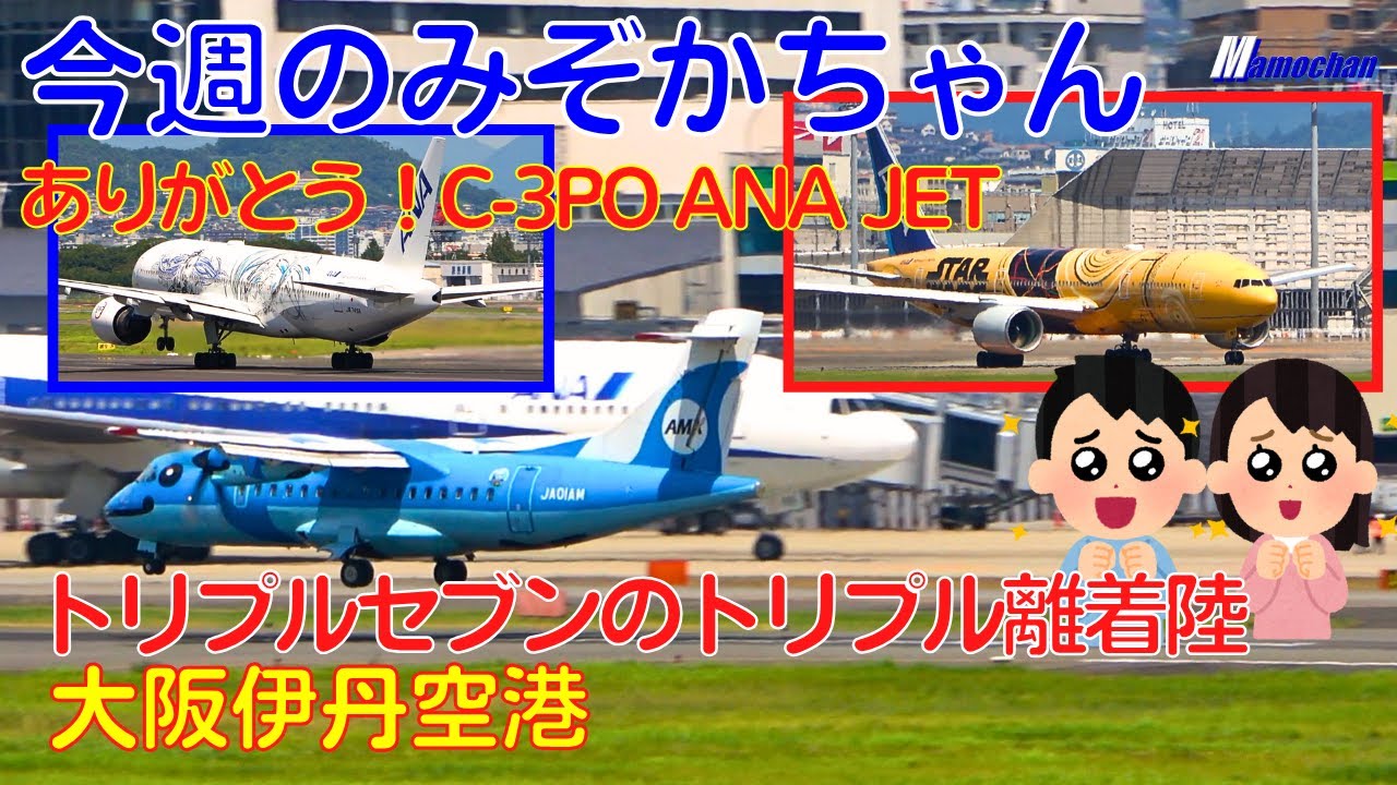 【大阪伊丹空港】今週のみぞかちゃん　トリプルセブン集結！＆ハプニング！