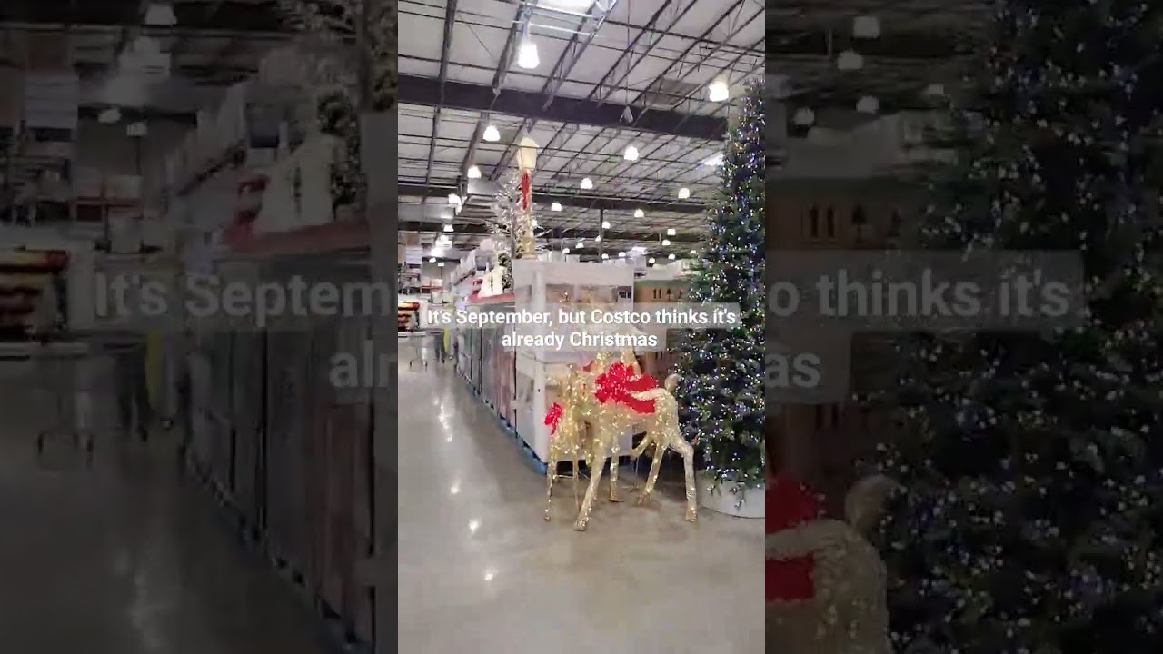 Simi Valley Costco is already selling Christmas Trees , September 12 2023 #805 #xmas #costco