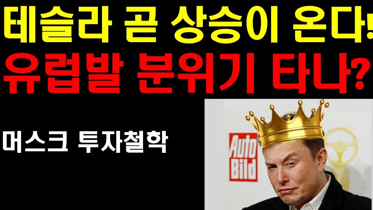 테슬라 곧 상승이 온다! 유럽발 분위기 후끈 달아 오르나? 머스크의 투자철학과 인생철학! 하락장을 잘견뎌야 큰돈을 번다! 테슬라만 크게 오를때가 온다! 엔비디아 너무 싸다!