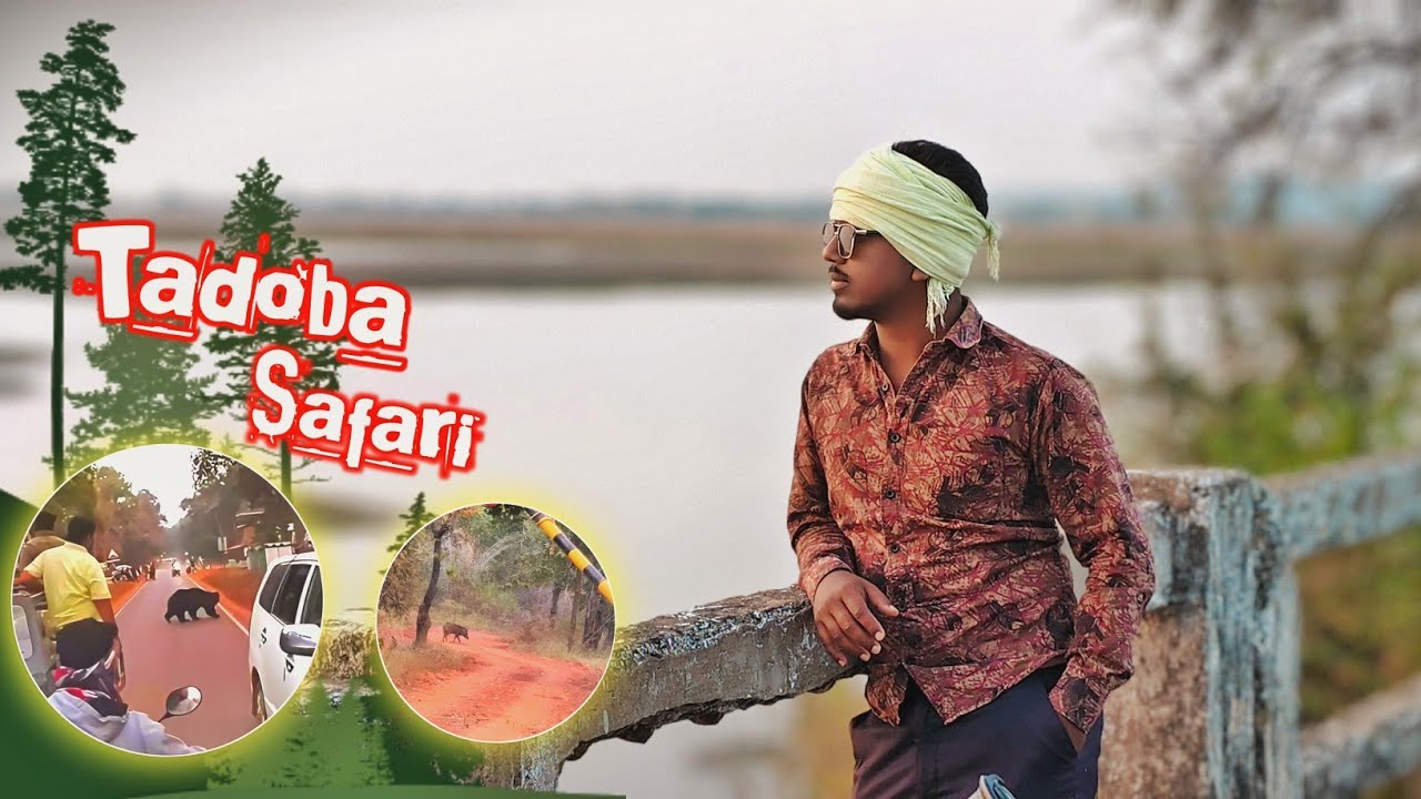 🐯 Tadoba Safari 2026 – Itna Close Tiger Pehli Baar Dekha! 