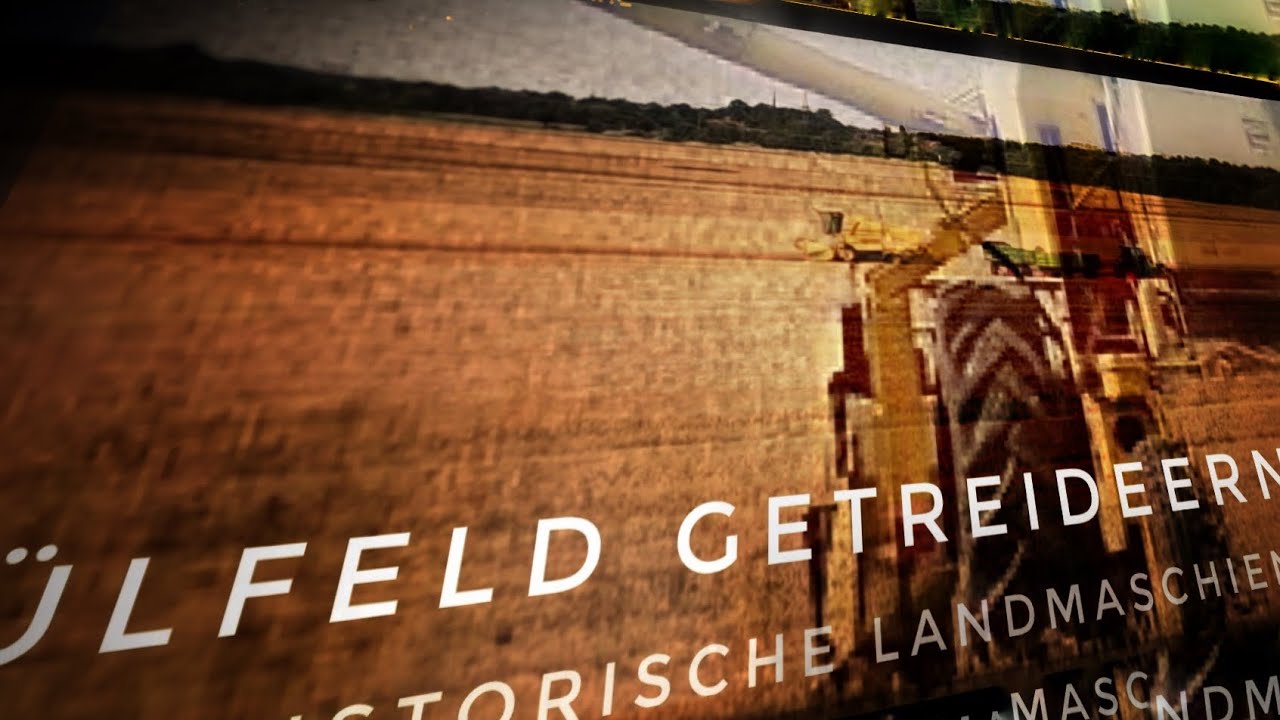 Getreideernte mit einem Oldtimer. 😱 Wolfsburg (Sülfeld)