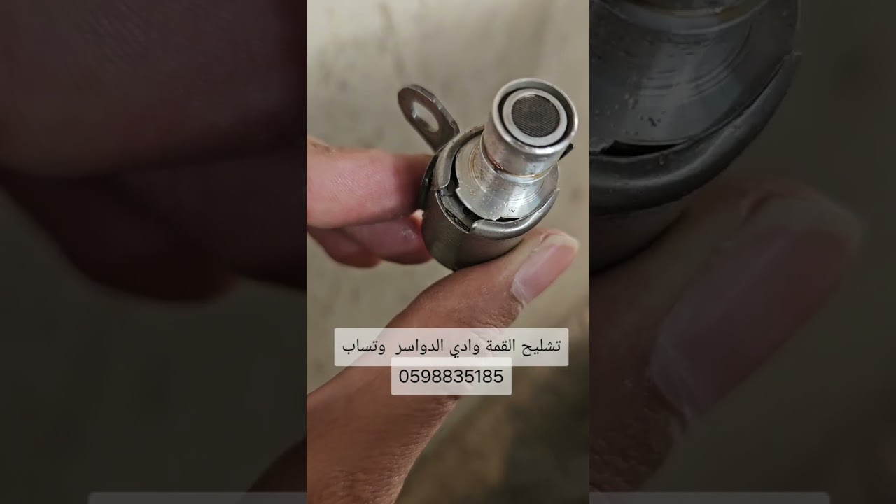 تغير حساس الريوس في مخ القير سكويا 2013