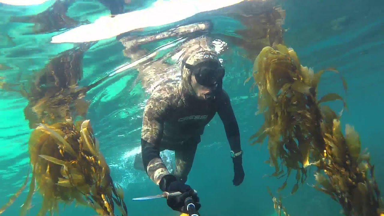 TAS Dive