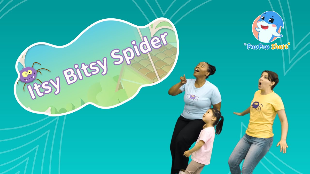 The Itsy Bitsy Spider | Paopao Shark Super Fun English Nursery Rhymes & Songs
