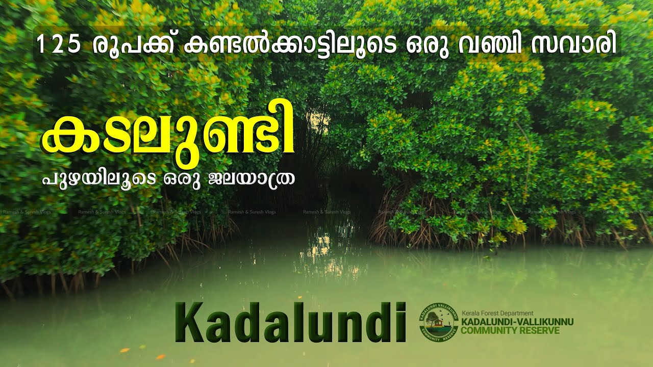 125 രൂപക്ക് കടലുണ്ടി ജലയാത്ര ! Kadalundi Boating through the Mangrove Forest | Ramesh & Suresh Vlogs