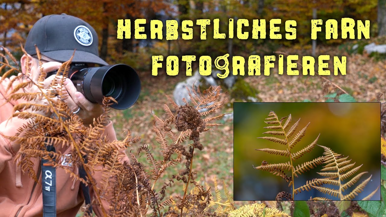 Herbstliches Farn fotografieren (CH Mundart, DE Untertitel)