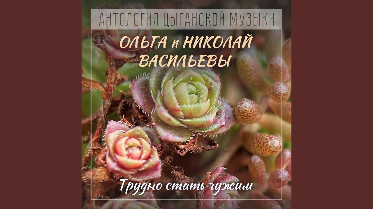 Там, где горы