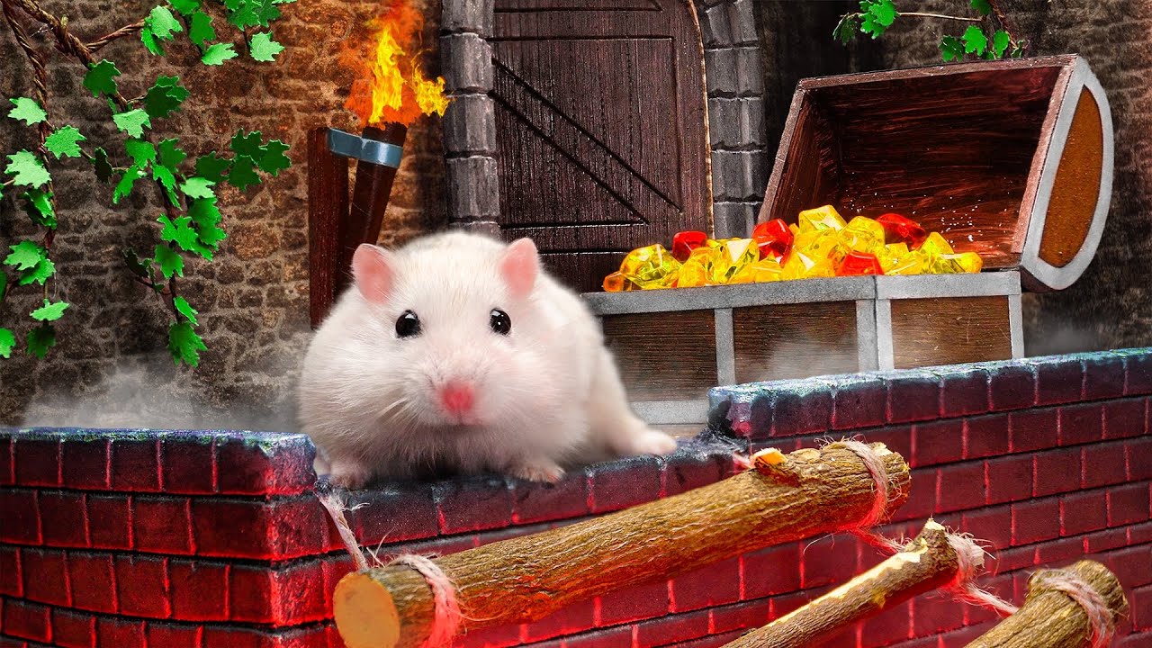 TOP 10  ALL HAMSTERIOUS CHALENGES ROMAN AND EGYPT | BEST OF HAMSTERIOUS 2025