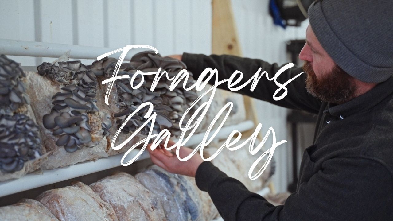 An Awesome Local Company Sharing Their Love of Mushrooms with the World - Foragers Galley